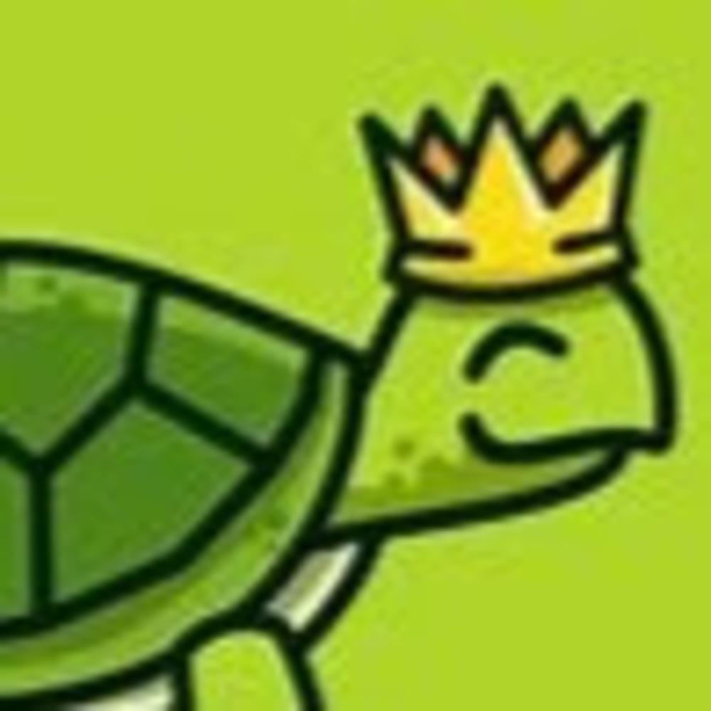Meet your Posher, Theturtleking